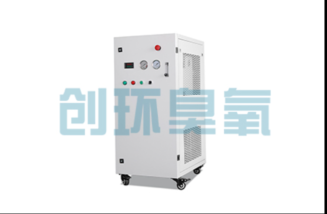 曹妃甸工厂化养鲈必看：2026年臭氧发生器替代传统消毒的最新方案