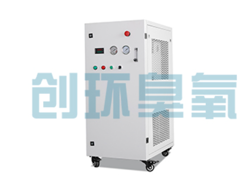 曹妃甸石斑鱼养殖水质调控完整指南：臭氧发生器配置与操作步骤