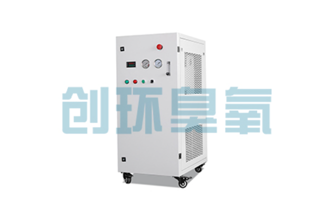 曹妃甸比传统换水更高效？臭氧发生器在石斑鱼养殖中的水质净化原理解析